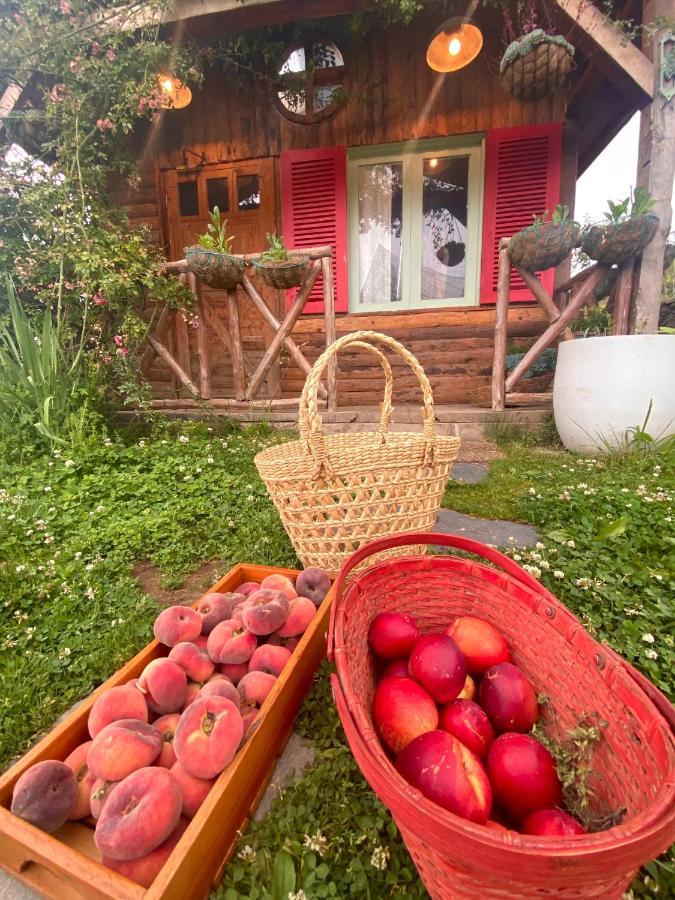 Meena Bagh Ratnari- An Apple Orchard Bungalow Bagi Exterior foto